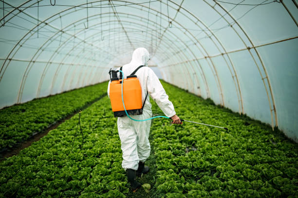 Best Best Pest Control Companies  in Southchase, FL