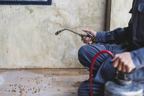 Best Pest Control Near Me  in Southchase, FL